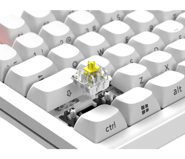 SMX Kishu Honey Switch Lumos white SMXG050 - 1417238 - zdjęcie 11